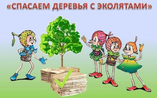 Сбор макулатуры Сбор макулатуры.
