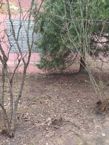 Субботник Субботник.